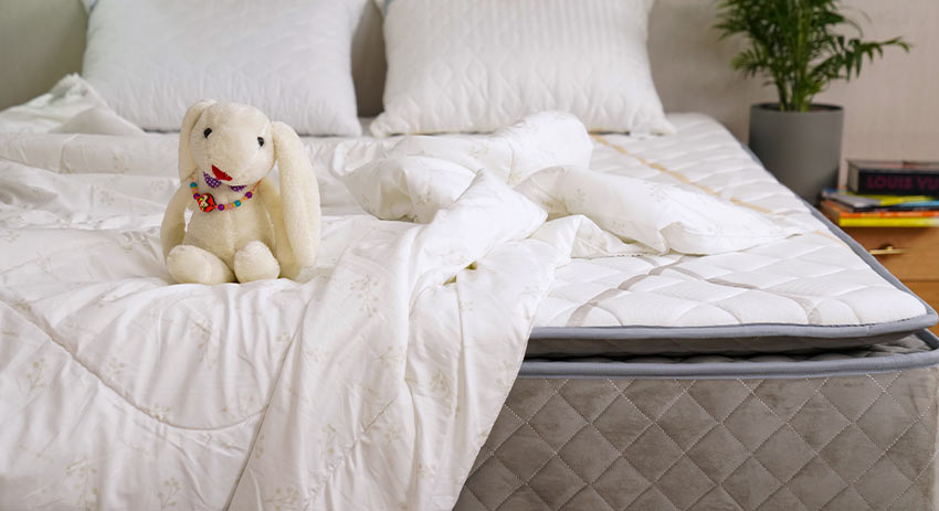 بررسی تخصصی مدلهای مختلف تشکهای موجود در بازار